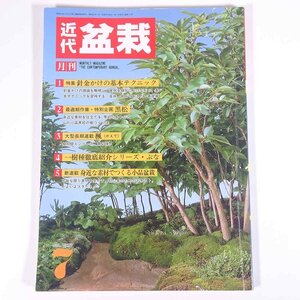 月刊 近代盆栽 No.117 1987/7 近代出版 雑誌 盆栽総合誌 園芸 ガーデニング 植物 特集・針金かけの基本テクニック 黒松芽切り 楓 ほか