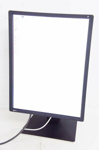 3 EIZO RadiForce RX250 21.3型 カラー液晶モニター 36415h