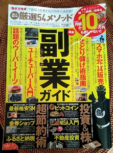 副業ガイド 楽して儲ける!厳選54メソッドこれで月額+10万円も夢じゃない!!