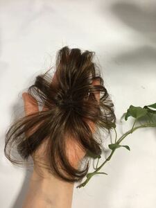 高品質　新品！未使用　頭頂部付け毛ヘア手のひらサイズ　医療用にも栗ブラウン茶色長め★自宅で洗える男女兼用耐熱限定品　送料無料