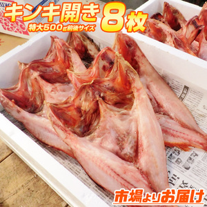 特大 きんき開き 500g前後×8枚 きんき 干物きんき 開きキンキ キチジ 吉次 高級魚 キンキ 干物 御歳暮 お歳暮 正月 年末年始