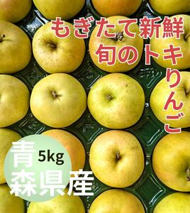 もぎたて新鮮 旬のトキりんご【青森県産 産地直送】