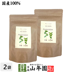 健康茶 国産100% ペパーミントティー ハーブティー 2g×15パック×2袋セット 送料無料