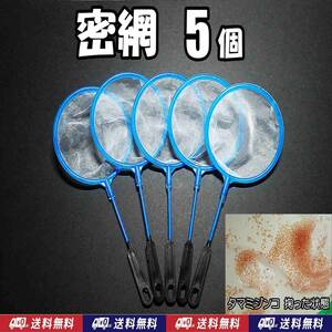 【送料込】密網SS　5本　 　即決　水槽　メダカ エビ シュリンプ ミジンコ用等に　ネット　5個　ゾウリムシは濾せません