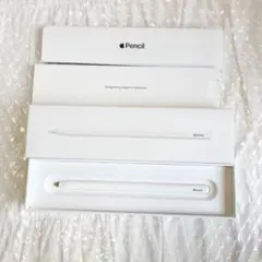 【純正】Apple Pencil 第二世代 ジャンク品 MU8F2J/A