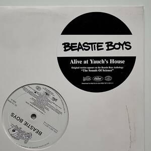 Beastie Boys - Alive At Yauch