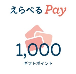 えらべるpay 1000ポイント