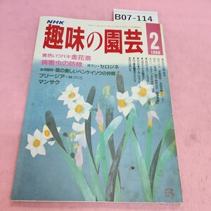 B07-114 NHK 趣味の園芸 黄色いツバキ 金花茶 病害虫の防除 セロジネ フリージア 1988年2月号 シミ汚れあり。折れあり。