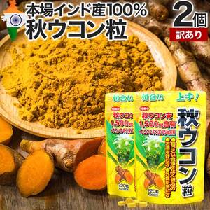 訳あり サプリ ウコン アウトレット 220粒*2個セット 約44～60日分 賞味期限2025年4月のみ 送料無料 メール便