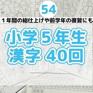 54小学５年生　漢字プリント　中学受験　漢検　ことわざ 　慣用句　ドリル　ワーク　言葉ナビ　サピックス