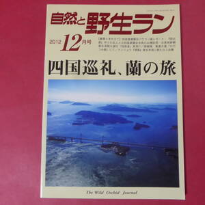 YN3-250109☆自然と野生ラン 2012年12月号　※ 園芸JAPAN