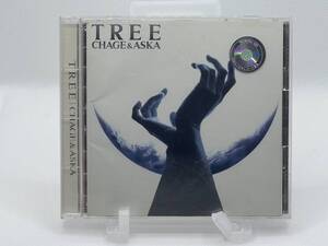 ★☆【CD】CHAGE&ASKA「TREE」 PCCA-00304 ☆★