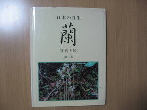 【植物写真集】蘭　日本の自生●送料無料●写真と図/1984年定価￥10000限定部数394番