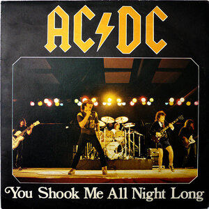 7 AC/DC[YOU SHOOK ME ALL NIGHT LONG]イタリアORG!