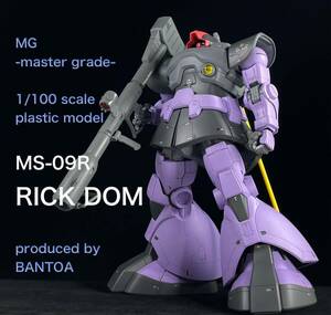 MG リックドム　徹底改修完成品