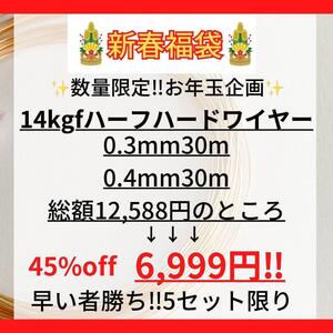 限定5 新春お年玉企画 14kgf ラウンドワイヤー 0.3 0.4mm 60m