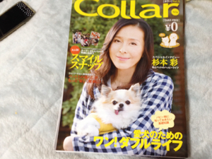 collar カラー 犬 イヌ ペット雑誌 新品 杉本彩