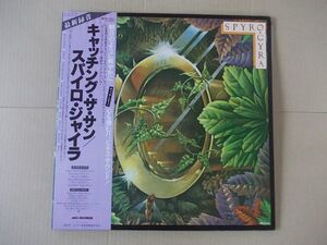 P7116　即決　LPレコード　スパイロ・ジャイラ『キャッチング・ザ・サン』　帯付　国内盤