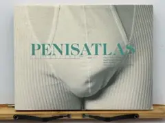 希少 PENISATLAS 洋書 医学書 解析書