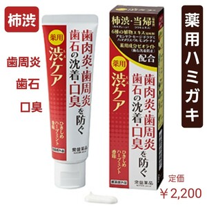 薬用ハミガキ　渋ケア　医薬部外品　トキワ　歯肉炎・歯周病・歯石・口臭を予防