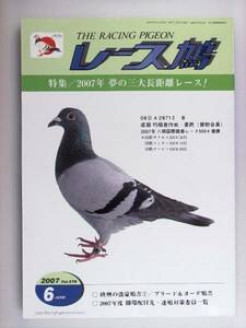 レース鳩 THE RACING PIGEON 2007年6月 ハトはと