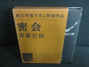 密会　安部公房　日焼け有/FEI