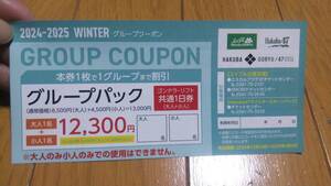 ★白馬五竜 白馬47 リフト1日 割引券 グループクーポン