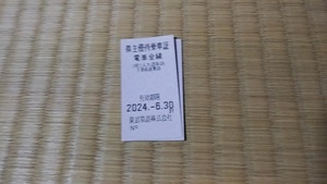 ☆【送料無料】東武鉄道 株主優待乗車証 ２枚 2024/6月末迄