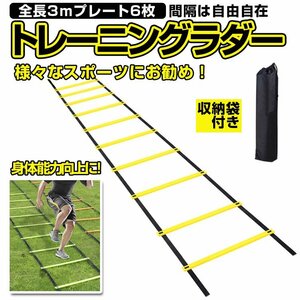 トレーニングラダー3m スピードラダー プレート6枚 トレーニング器具 瞬発力 敏捷性 軽量 スポーツ 野球 サッカー フットサル STLAD03M