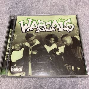 (ミドル) THE WASCALS