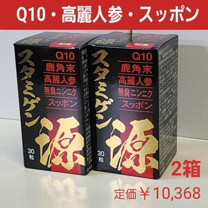 スタミゲン　1日1粒　30粒入り　2箱　疲労回復・冷え症・免疫力　栄養補助食品