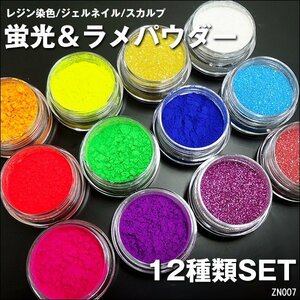 ラメパウダー 12色セット (E) 蛍光 ネイル 塗料 レジン メール便/11К