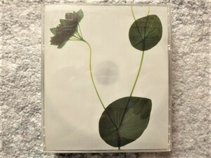 E【 今井美樹 / from１９８６ 】２枚組CD ライナーノーツなし CDは４枚まで送料１９８円