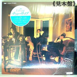 【検聴合格】1984 年・美盤！美ジャケット・丸ステッカー付《見本盤》チューリップ「I dream TULIP」【LP】