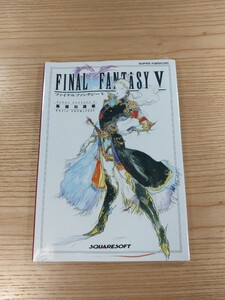 【D2090】送料無料 書籍 ファイナルファンタジーV 基礎知識編 ( SFC 攻略本 FINAL FANTASY 5 B6 空と鈴 )