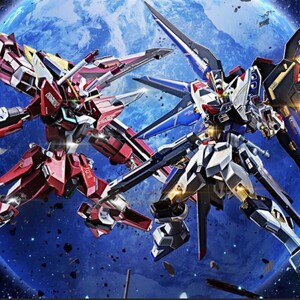 metal ROBOT魂 ストライクフリーダム インフィニットジャスティス 20th Anniversary 機動戦士ガンダムSEED DESTINY 新品2点セット