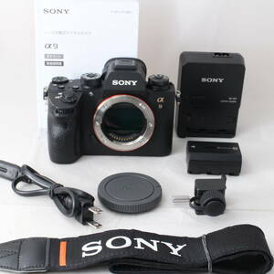 ☆良品・ショット数10245☆ SONY α9 ボディ ILCE-9 ソニー フルサイズミラーレス一眼 #2855