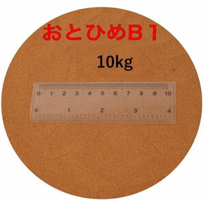 日清丸紅飼料 おとひめB1 10kg メダカの餌