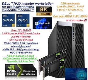 CPUもグラボもデュアル★動画生成AI/VR/4K動画編集/deep learning★core i9超スケーラブルxeon80CPU/爆速NVMeSSD1TB/DDR4-128GB/P4000x2