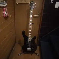 BURNY BRB-65/BLK FERNANDES リッケンタイプベース