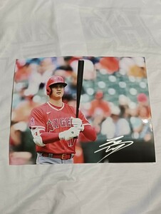 侍ジャパン ロサンゼルス・ドジャース 大谷翔平選手 直筆サイン入り６切りフォト 激レア 日本ハムファイターズ　写真②