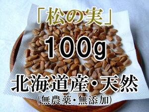 【令和6年 新物】 北海道産 天然 松の実 100g 山菜 手作業・こだわり