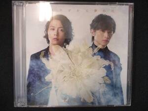 879＃中古CDS 道は手ずから夢の花/KinKi Kids