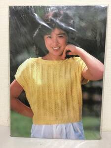 昭和レトロ　菊池桃子　ポスターパネル　縦57cm　横40cm　当時物　　　　B5.1