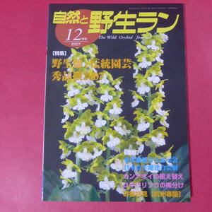 YN3-250109☆自然と野生ラン 2007年12月号　※ カンアオイ セッコク ミヤマムギラン 富貴蘭 ※ 園芸JAPAN