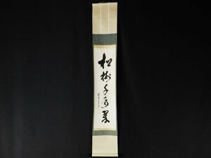 【宝扇】D-784 茶道具/東福寺派管長/林恵鏡 住職 筆/掛軸「松樹千年翠」/無地箱/美品