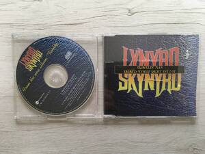 LYNYRD SKYNYRD TRAVELIN