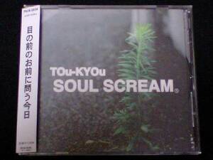 [SOUL SCREAM/TOu-KYOu]DJ CELORY蜂と蝶ZEEBRA雷家族RHYMESTERキングギドラKGDRさんピンCAMP BUDDHA BRAND DEV LARGE MURO