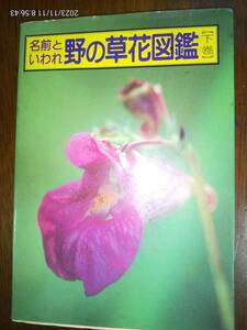 野の草花図鑑（下巻）