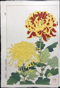 木版画 河原崎奨堂【菊】芸艸堂 大判 彫長島 摺吉田 真作保証 ■ 浮世絵 新版画 植物画 Ukiyoe 